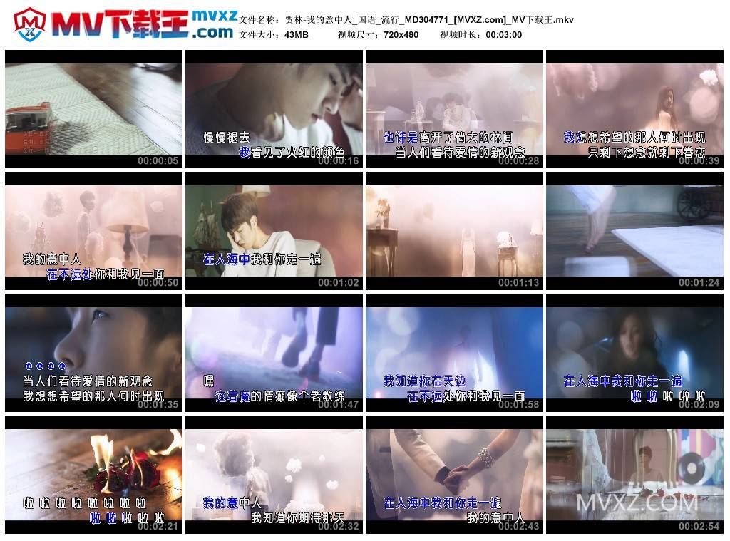 贾林-我的意中人_国语_流行_MD304771